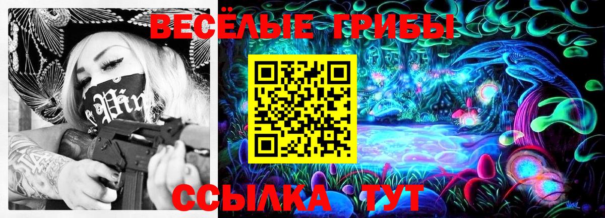 Павлово  Галлюциногенные грибы мухоморы  Псилоцибиновые грибы мухоморы  Вход с VPN 