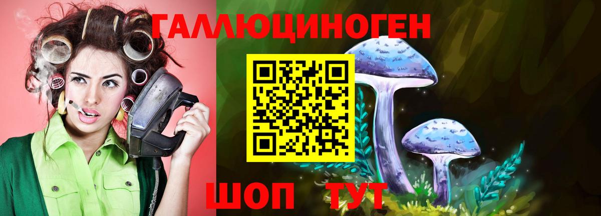 Галлюциногенные грибы Psilocybe Павлово